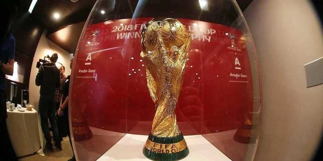 Hoton Kofin duniya yayin gabatar da shi a kasar Rasha Hoton Kofin duniya yayin gabatar da shi a kasar Rasha