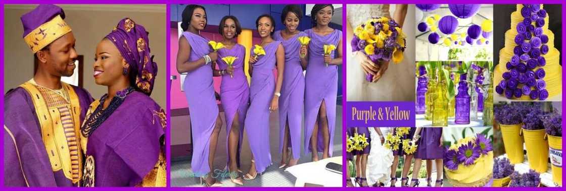 Purple and yellow Purple and yellow