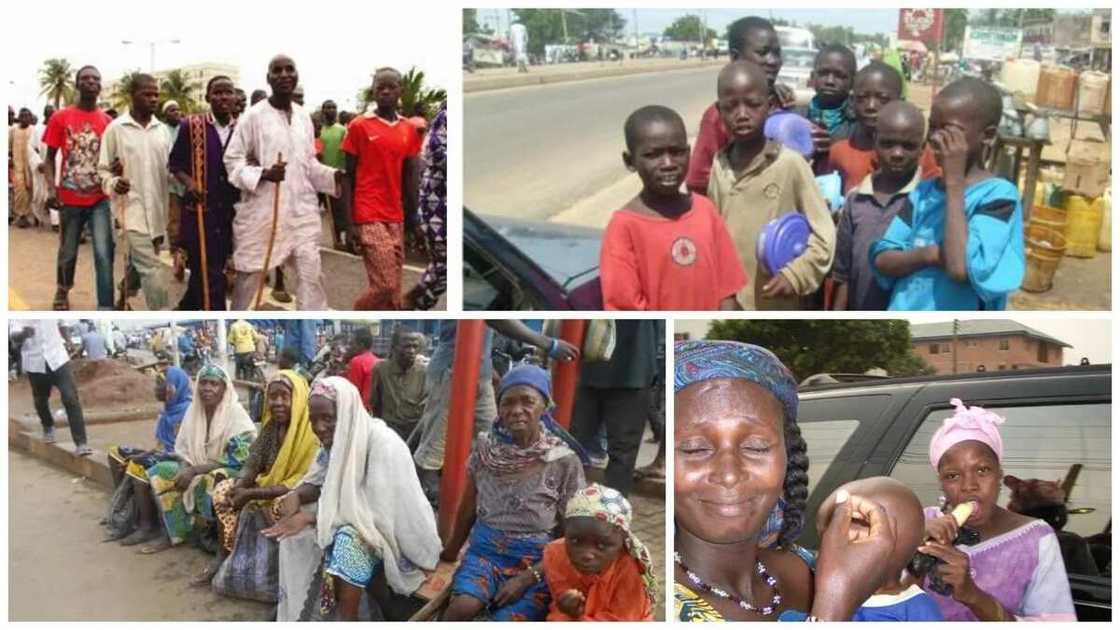 The beggars were arrested around France road, Dangi junction, Lugard road, Murtala Mohammed way and Magwan junction The beggars were arrested around France road, Dangi junction, Lugard road, Murtala Mohammed way and Magwan junction