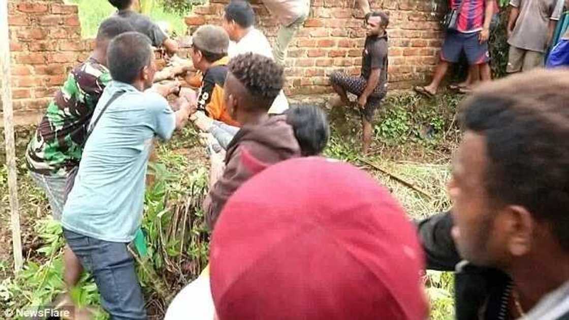 Villagers slaughter about 300 crocodiles in revenge after one of them ate factory worker Villagers slaughter about 300 crocodiles in revenge after one of them ate factory worker