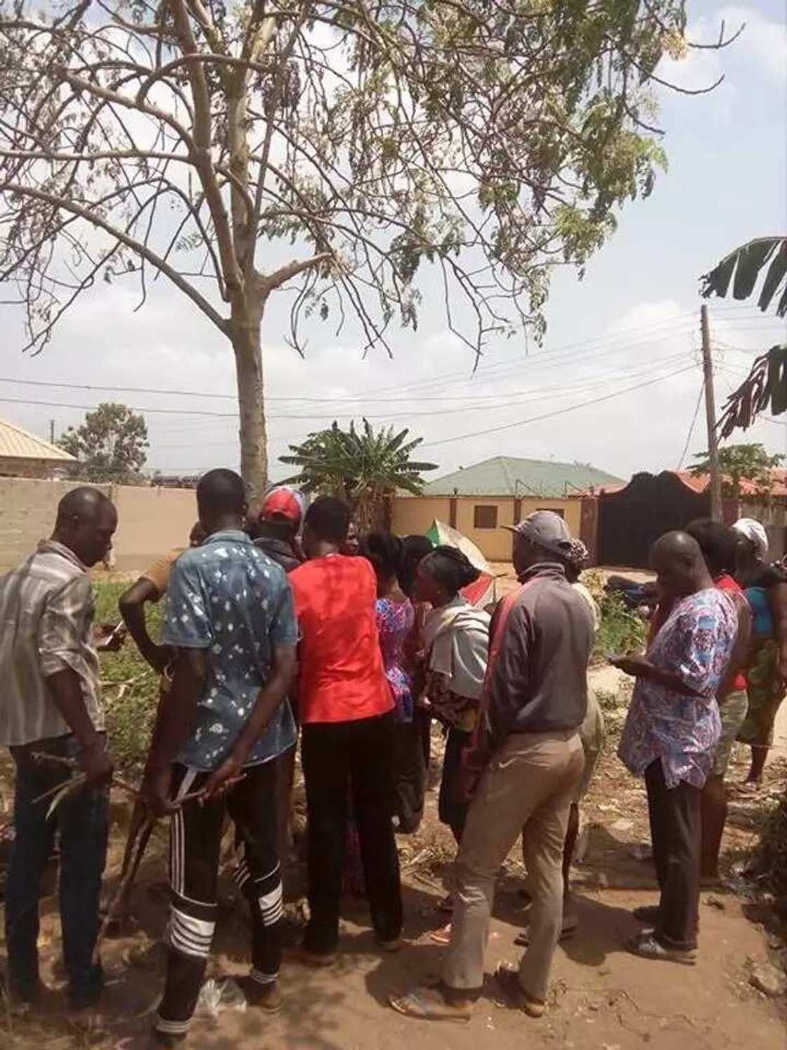 Cikin Hotuna: Rubutun 'Allahu Akbar' ya bayyana jikin wata itaciya a jihar Legas Cikin Hotuna: Rubutun 'Allahu Akbar' ya bayyana jikin wata itaciya a jihar Legas