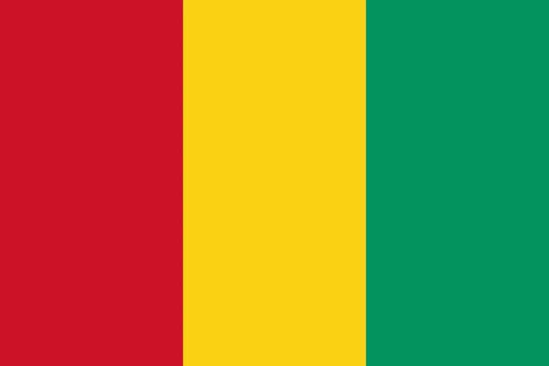 Flag of Guinea Flag of Guinea