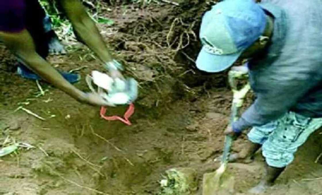 Duniya ina zaki damu: 'Yan sanda sun gano gawar wani dattijo dan shekara 69 da aka sace a bara Duniya ina zaki damu: 'Yan sanda sun gano gawar wani dattijo dan shekara 69 da aka sace a bara