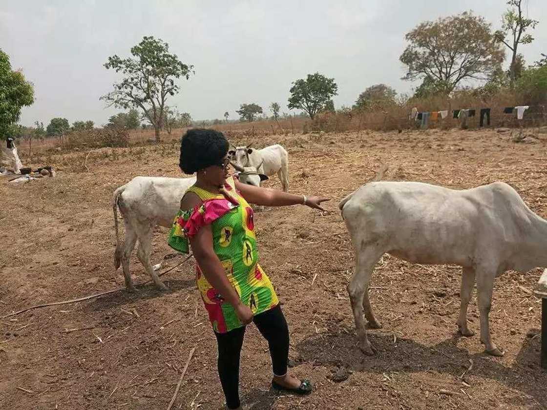 Wata 'yar a-mutum Buhari daga kabilar Ibo tace tana tare da Makiyaya Wata 'yar a-mutum Buhari daga kabilar Ibo tace tana tare da Makiyaya