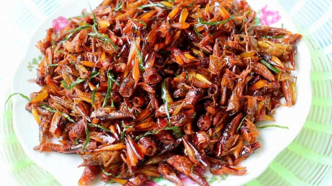 Sojojin Najeriya sun tafka ma yan ta’addan Benuwe mummunan asara Sojojin Najeriya sun tafka ma yan ta’addan Benuwe mummunan asara