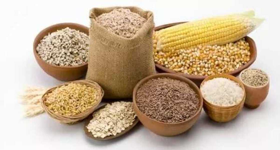 Agro-allied meaning and synonyms Agro-allied meaning and synonyms