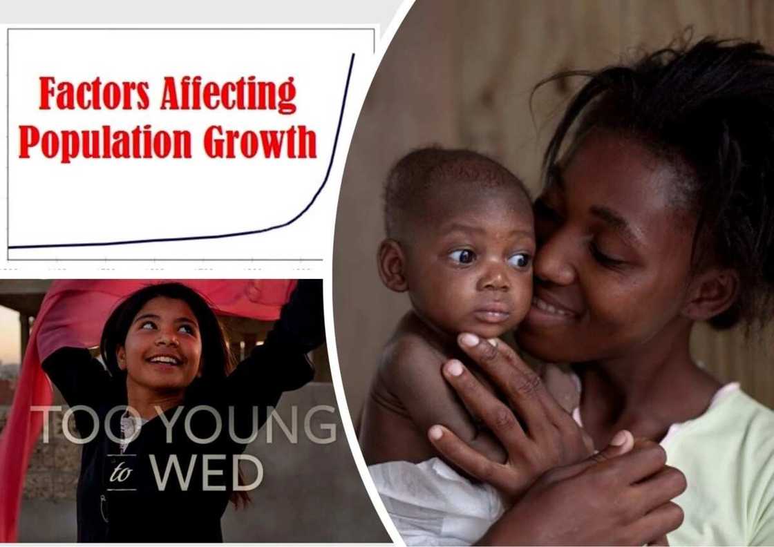 Factors of Population Growth in Nigeria Factors of Population Growth in Nigeria