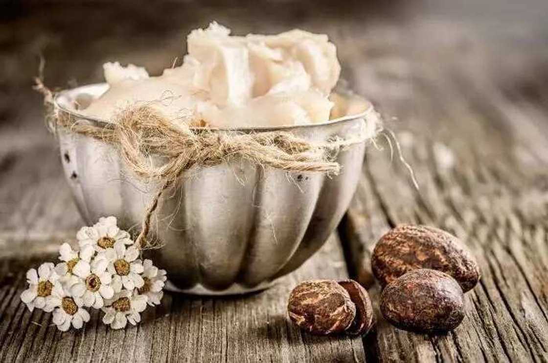 The Benefits of Shea Butter The Benefits of Shea Butter