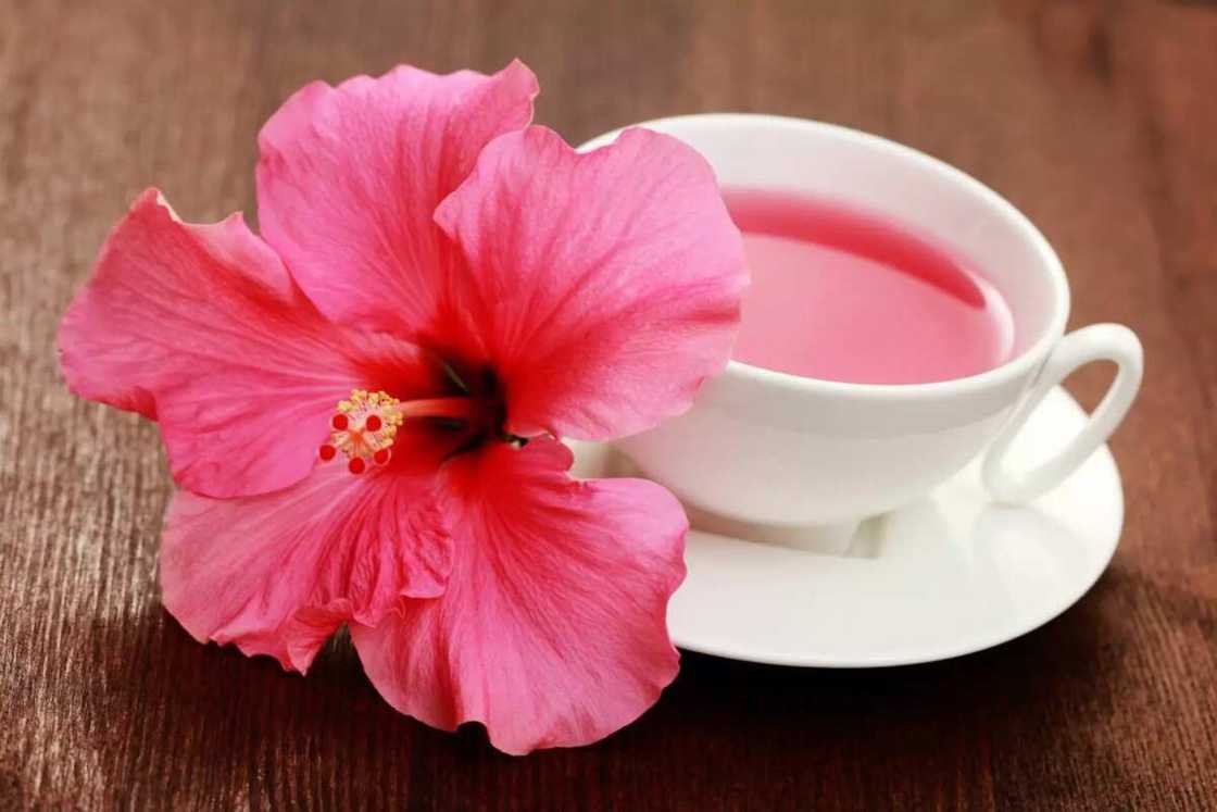 hibiscus tea hibiscus tea