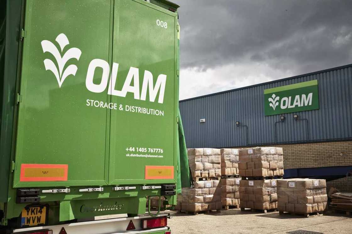 Olam Nigeria salary structure