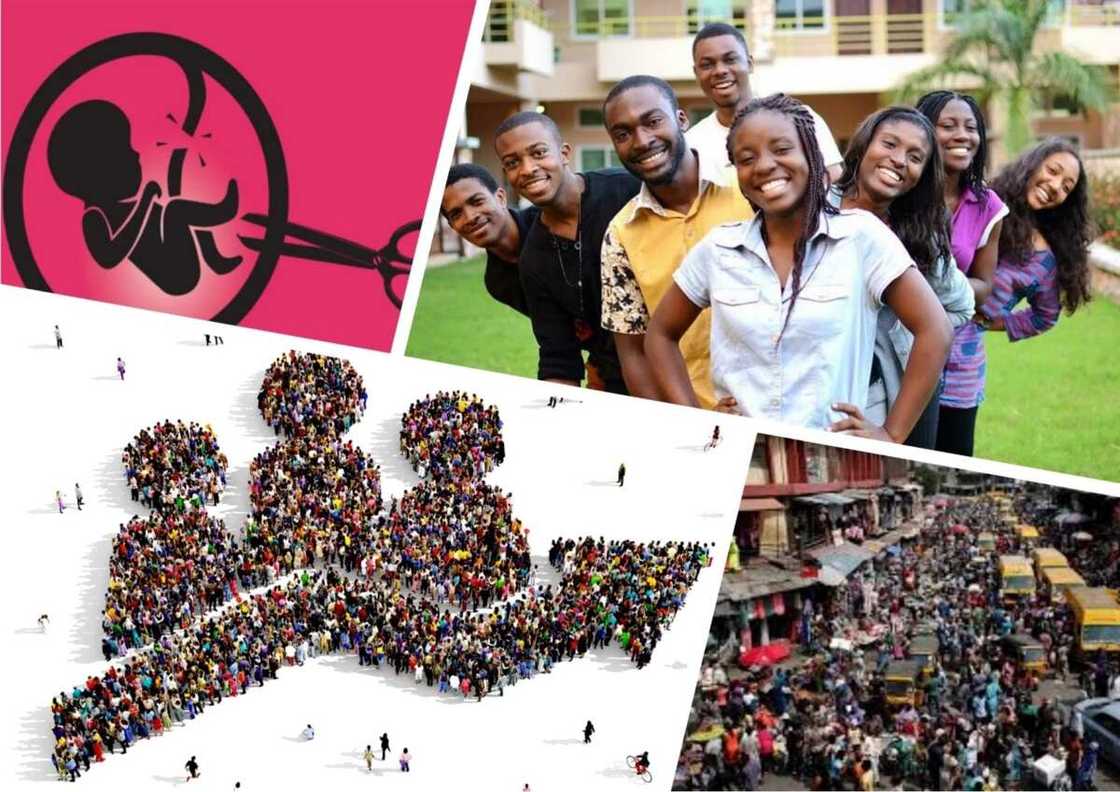 Population Growth in Nigeria Population Growth in Nigeria