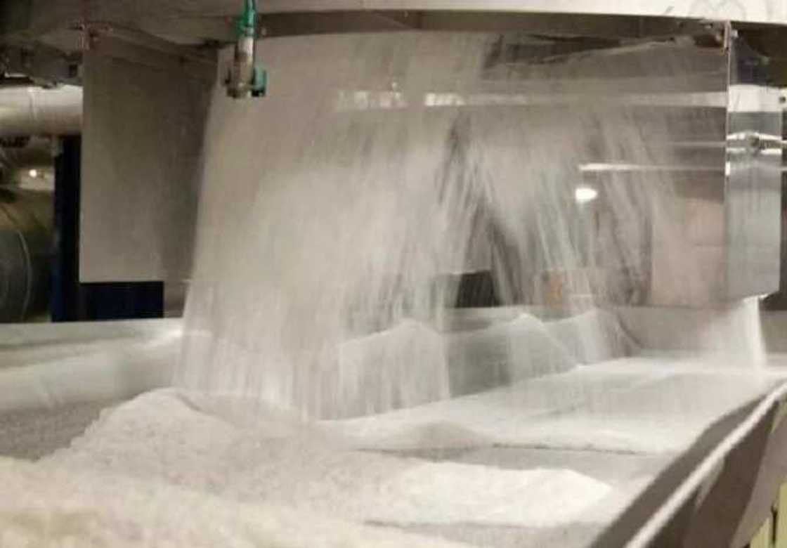 Ma’aikatan kamfanin Dangote sun yi masa satan naira miliyan 451 Ma’aikatan kamfanin Dangote sun yi masa satan naira miliyan 451