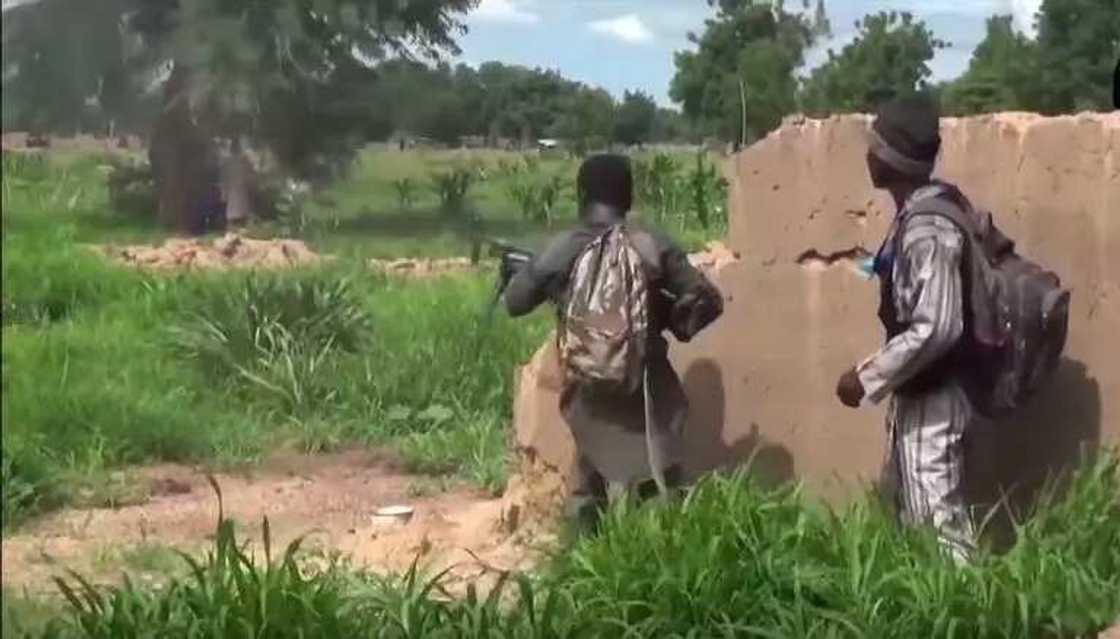 Boko Haram attacks firewood traders in Borno