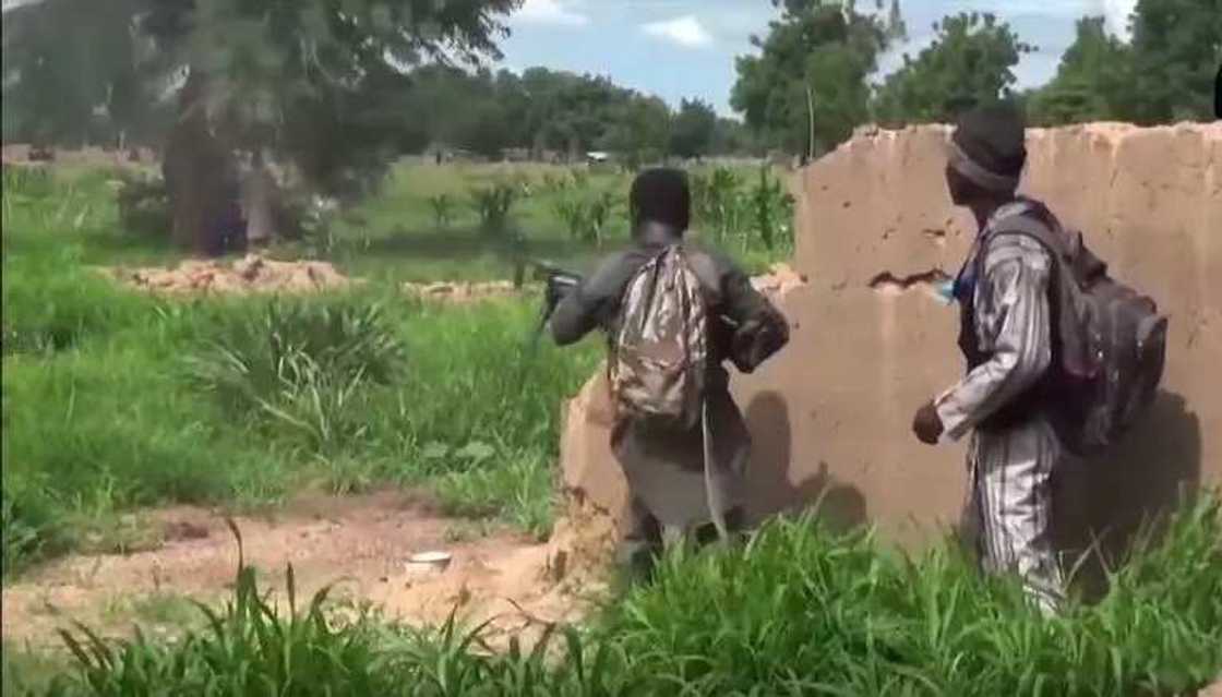Boko Haram attacks firewood traders in Borno Boko Haram attacks firewood traders in Borno