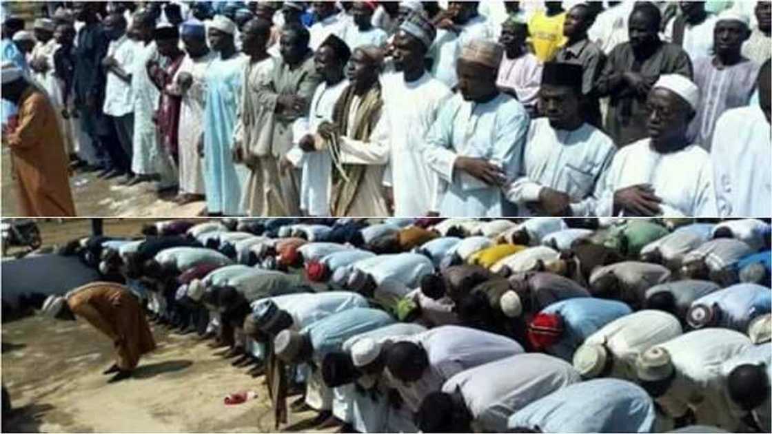 Toh fa! Malaman da El-Rufai ya sallama daga aiki sun gabatar masa da Al-kunuti (Hotuna) Toh fa! Malaman da El-Rufai ya sallama daga aiki sun gabatar masa da Al-kunuti (Hotuna)