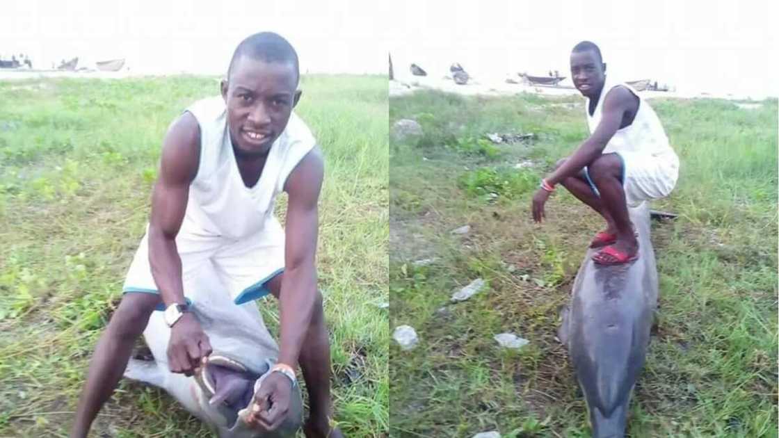 Allah buwayi: Wani matashi ya kashe katon kifi mai ban al'ajabi jinsin dorinar ruwa a Najeriya Allah buwayi: Wani matashi ya kashe katon kifi mai ban al'ajabi jinsin dorinar ruwa a Najeriya