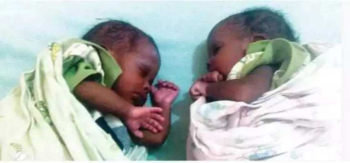 Uwa ta gudu ta bar jariranta yan-biyu a Asibiti Uwa ta gudu ta bar jariranta yan-biyu a Asibiti