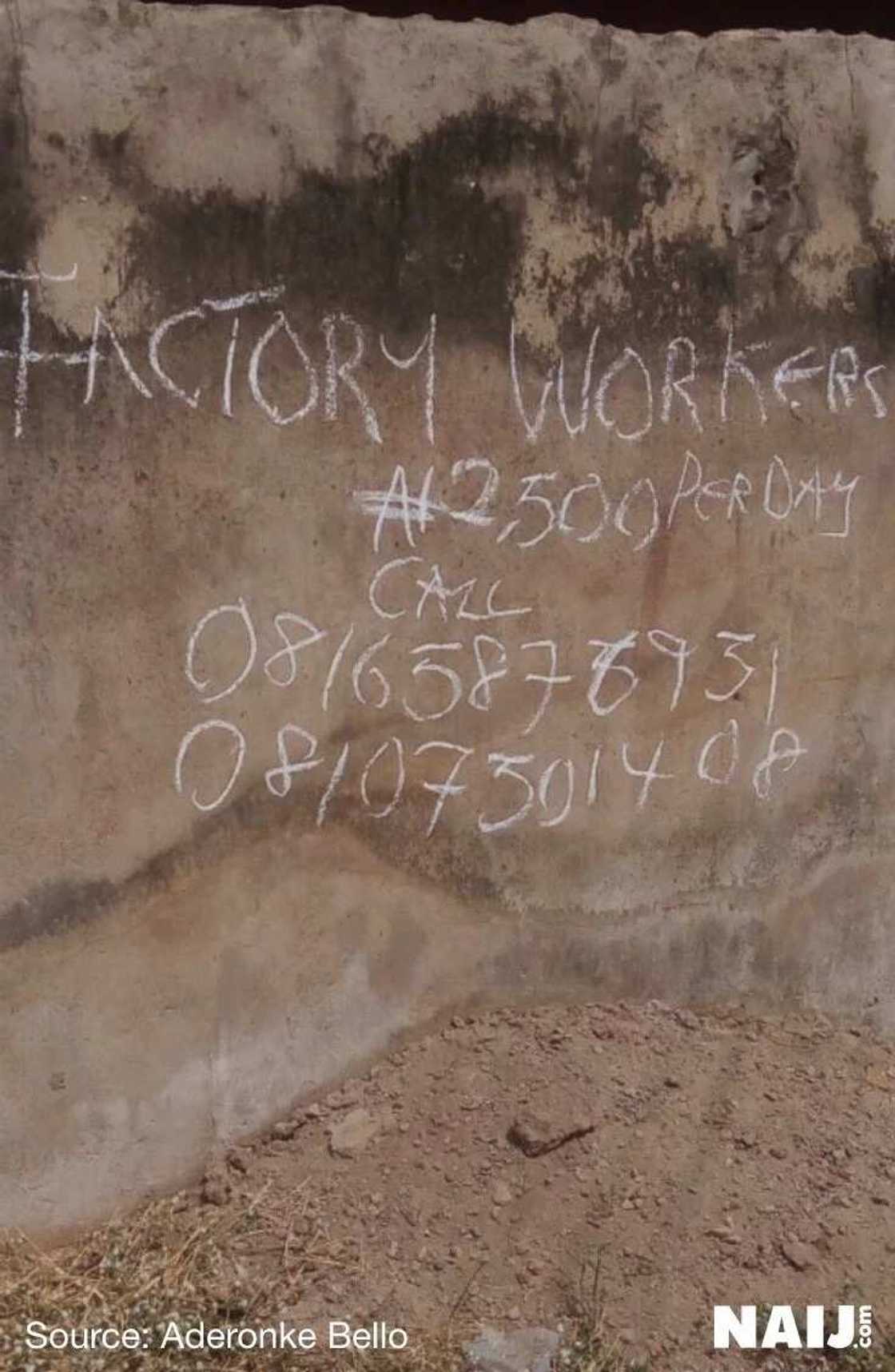 Investigation: Inside the thriving business of job scam in Nigeria Investigation: Inside the thriving business of job scam in Nigeria