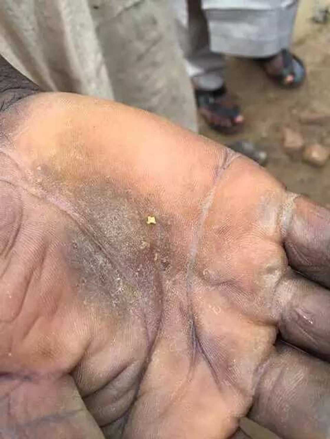 Photos: Gold discovered in Kano state? Photos: Gold discovered in Kano state?