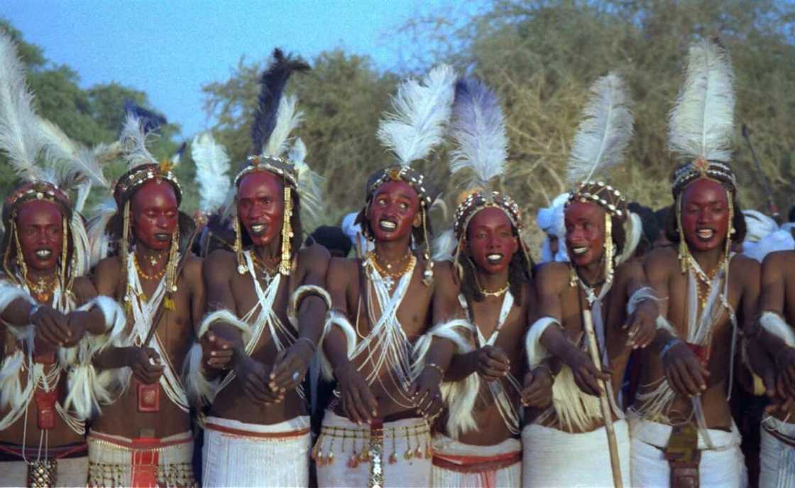 Fulani states in Nigeria Fulani states in Nigeria