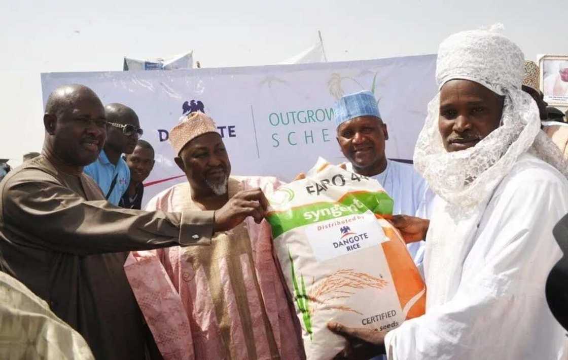 Agriculture in Nigeria Agriculture in Nigeria