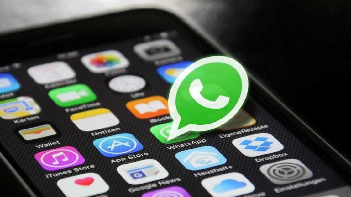 Gutsuri tsoma: Sakon whatsapp da ake yadawa ya jawo kashe-kashe