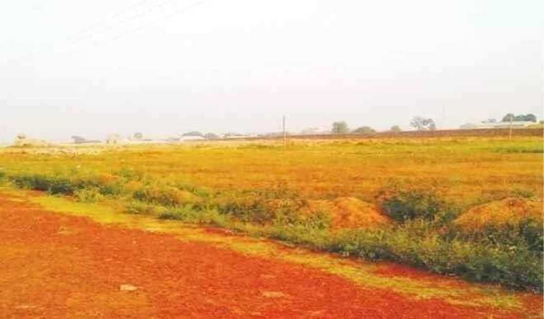 Za'a kamalla tashan gaba na Funtua a watan Mayu Za'a kamalla tashan gaba na Funtua a watan Mayu