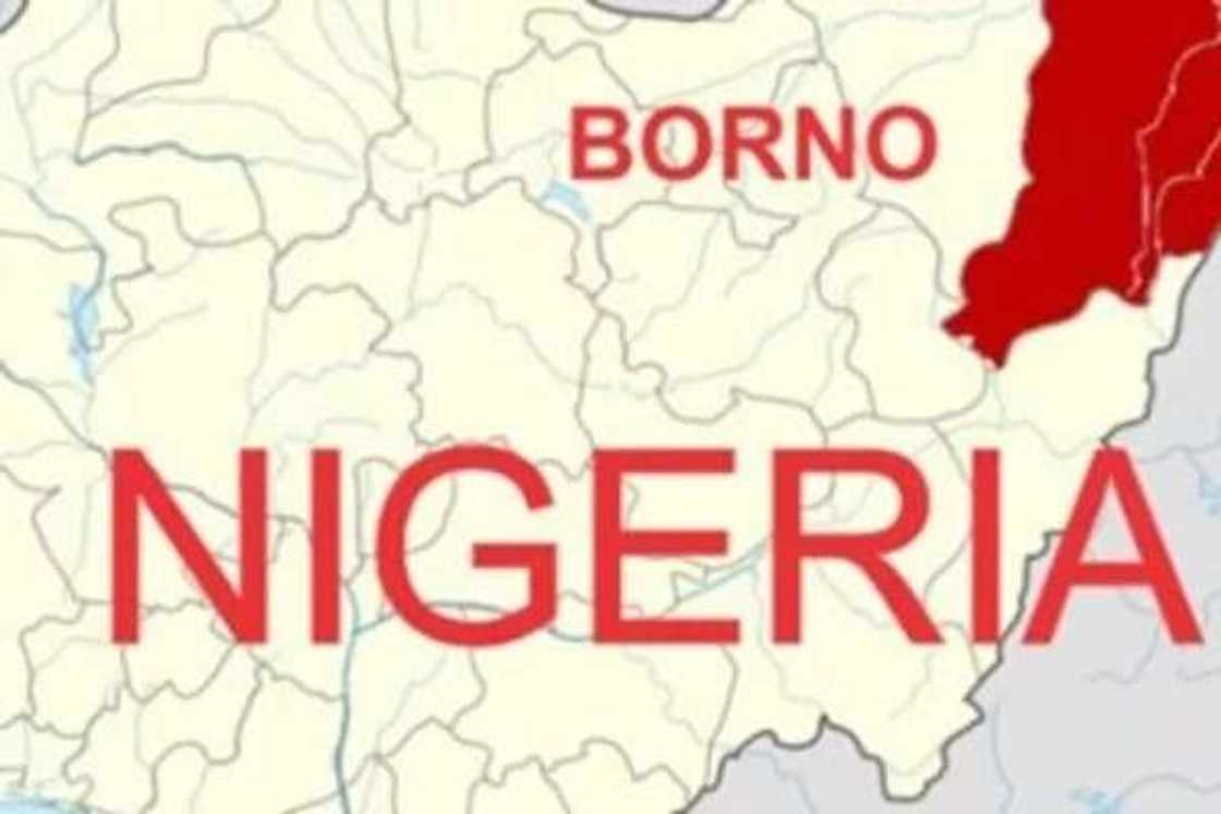 Borno/Gombe/Maiduguri/Boko Haram/Terrorist