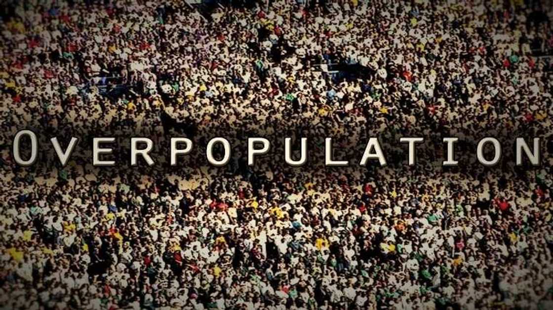 The definition of Overpopulation The definition of Overpopulation