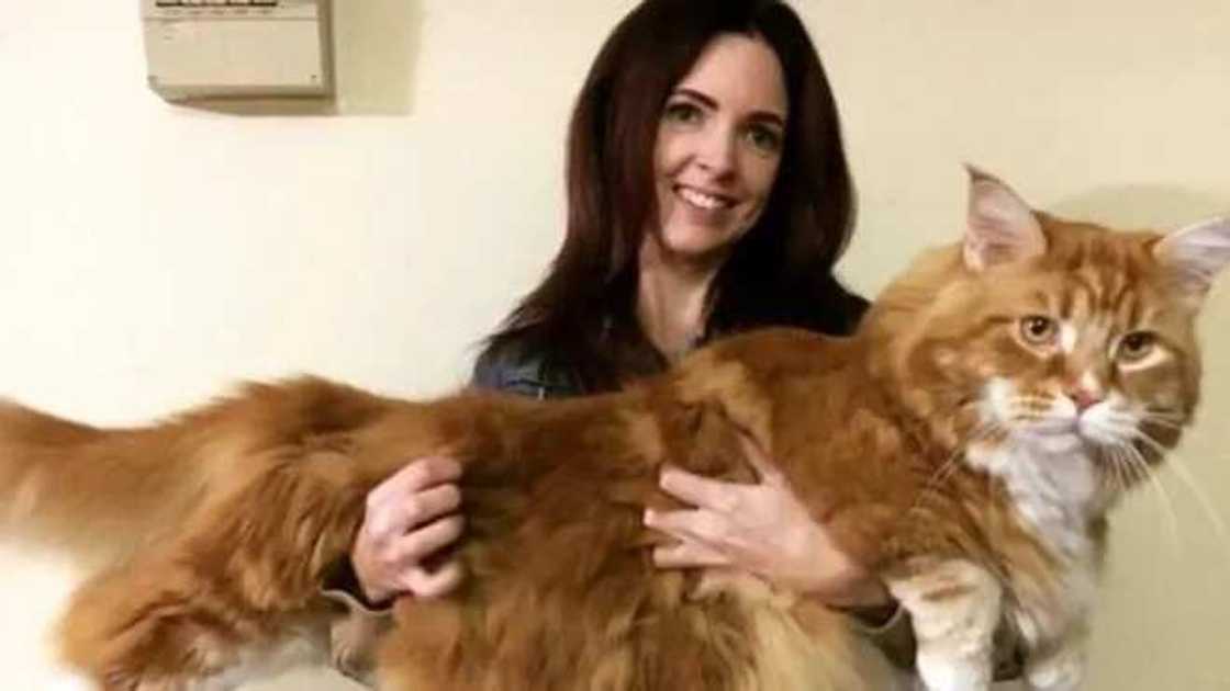 Kun san Magen da tafi ko wanne tsayi a duniya? Kun san Magen da tafi ko wanne tsayi a duniya?