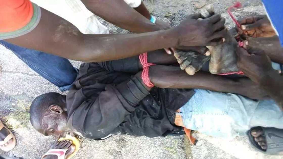 Top Boko Haram member who attacked Adamawa market arrested Top Boko Haram member who attacked Adamawa market arrested