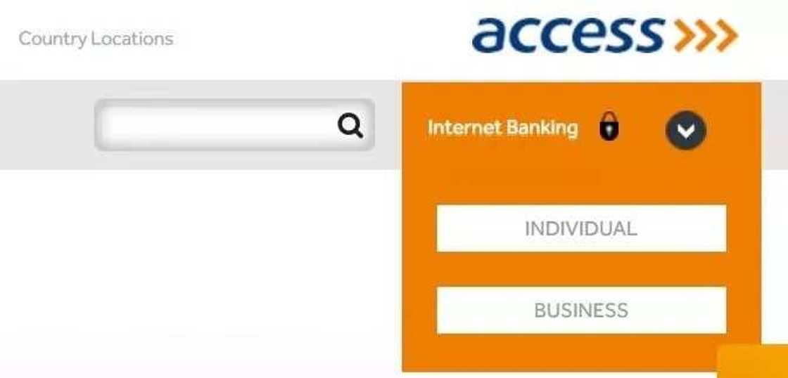 Access Bank online account balance check individual or business Access Bank online account balance check individual or business