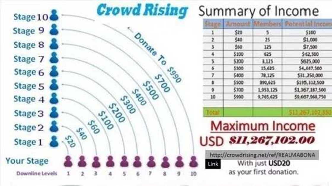 Crowd rising - scheme and stages Crowd rising - scheme and stages