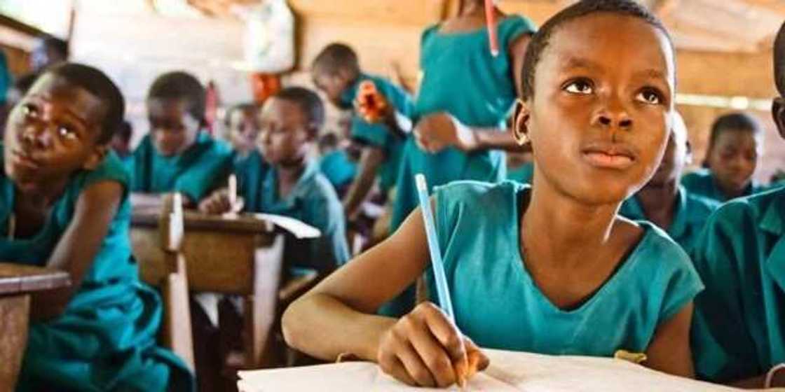 Importance of civic education in Nigerian schools