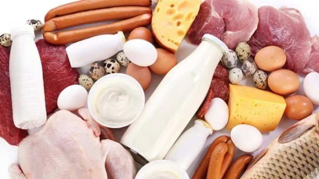 Fish, meat, dairy products Fish, meat, dairy products