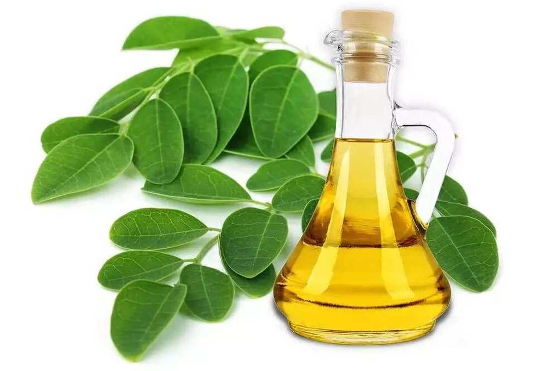 Moringa oil