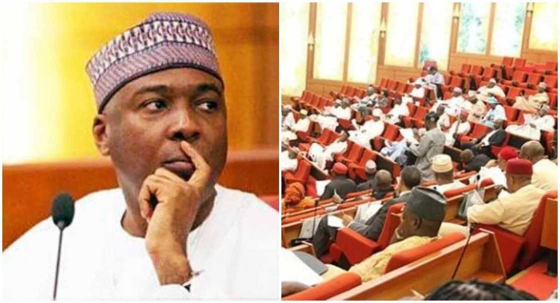 Rikicin majalisar dattawa: Sanata Abdullahi Adamu na shirya kaidin cire Bukola Saraki - Sanata Ogba Rikicin majalisar dattawa: Sanata Abdullahi Adamu na shirya kaidin cire Bukola Saraki - Sanata Ogba