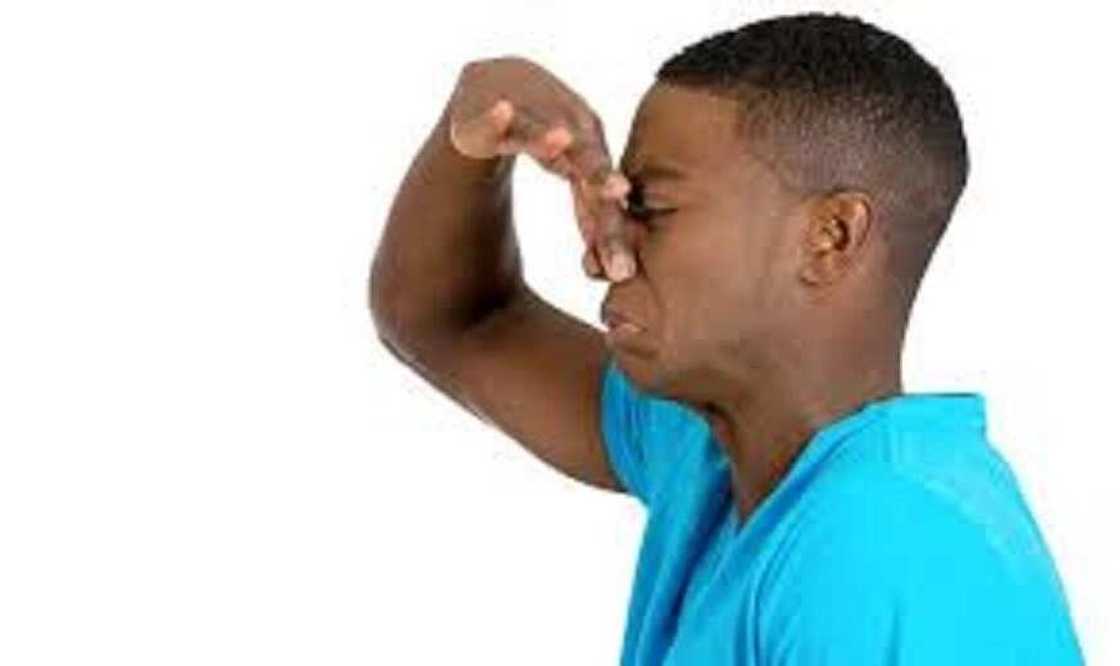 Shin ko kasan amfanin Citta 7 da ya kamata kowa ya sani Shin ko kasan amfanin Citta 7 da ya kamata kowa ya sani