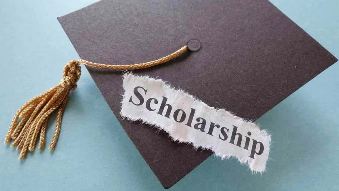 scholarship