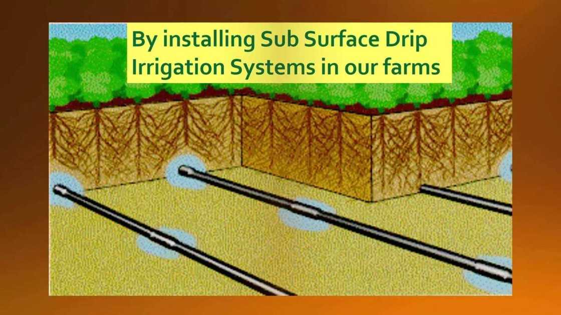 Irrigation farming in Nigeria SUBSURFACE Irrigation farming in Nigeria SUBSURFACE