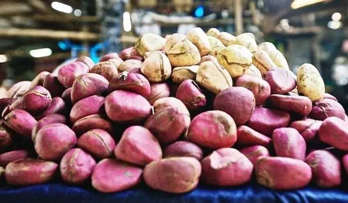 Wasu hanyoyi 10 da ake amfani da goro da ya dace ku sani Wasu hanyoyi 10 da ake amfani da goro da ya dace ku sani