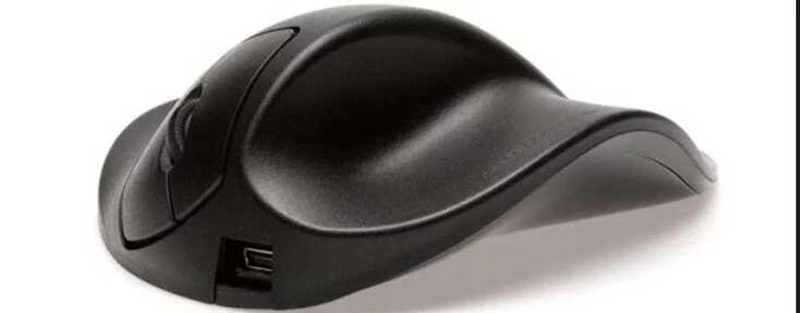 7. Ergonomic Mice