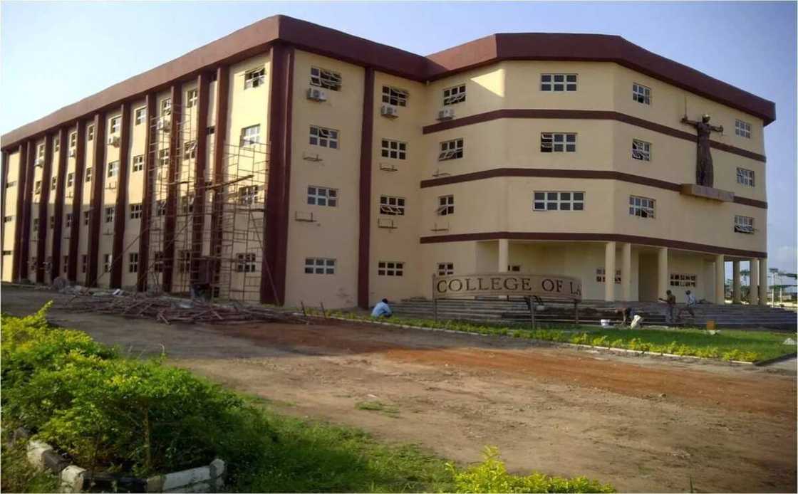 College of Law College of Law