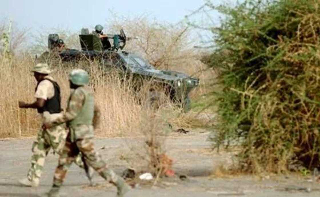 Sambisa forest occupies parts of Borno, Yobe, Gombe State and Bauchi State as a game reserve for safaris — cross country expeditions Sambisa forest occupies parts of Borno, Yobe, Gombe State and Bauchi State as a game reserve for safaris — cross country expeditions