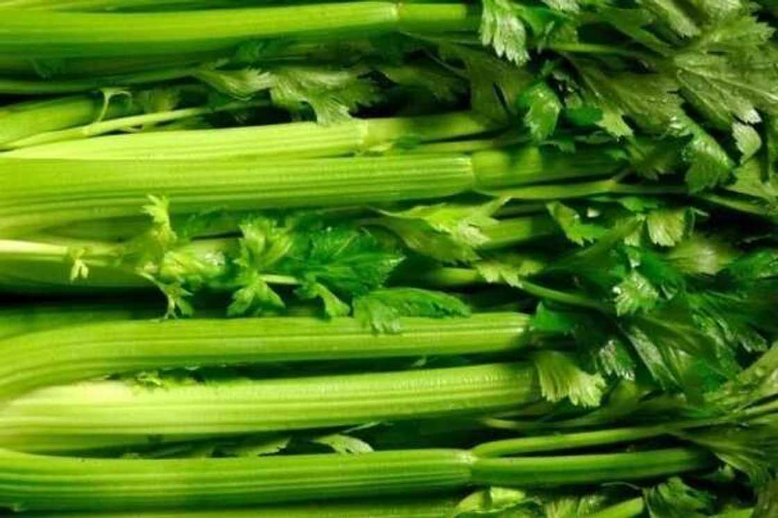 Celery in Yoruba Celery in Yoruba