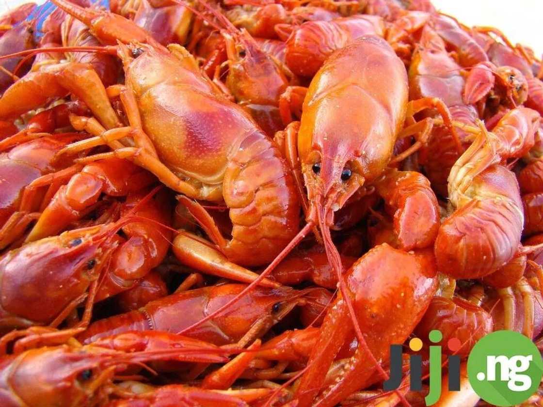 Top 11 easily accessible foods that are great for you Top 11 easily accessible foods that are great for you