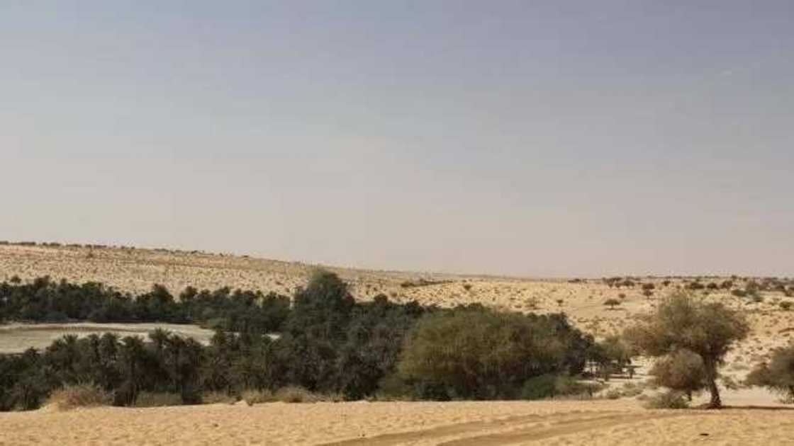 Kundin tarihi: Hotunan masarautar Borno da sarakunan ta na shekaranjiya, jiya da yau Kundin tarihi: Hotunan masarautar Borno da sarakunan ta na shekaranjiya, jiya da yau