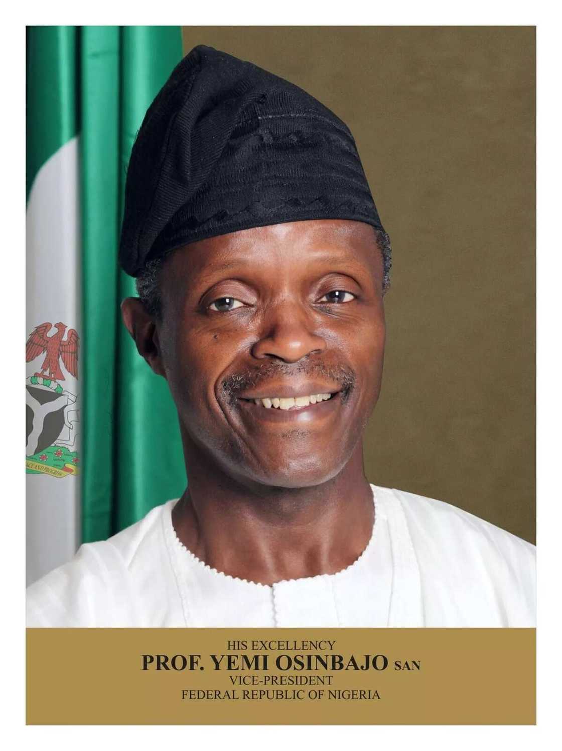 Nigerian Government structure vice president Nigerian Government structure vice president