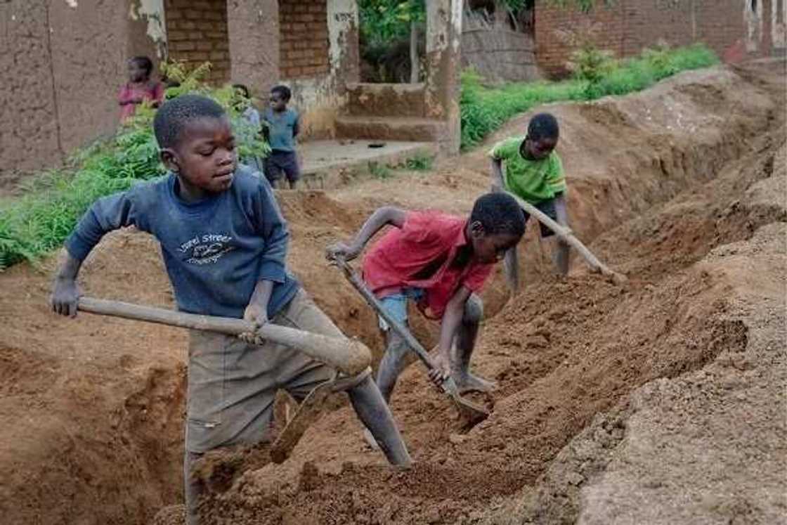 Child labour in Nigeria Child labour in Nigeria