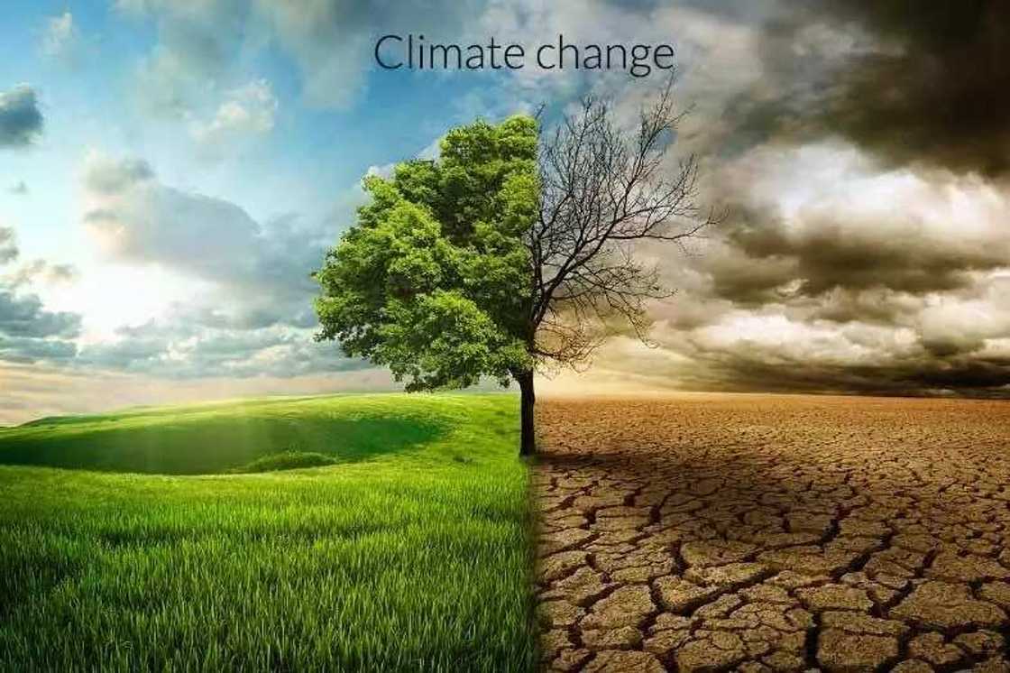 Climate change Climate change